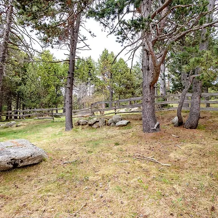 Chalet Nid Des écureuils